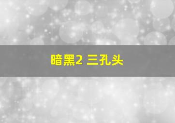 暗黑2 三孔头